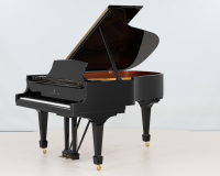 Steinay Model A  615587 - 2D image