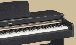 YDP-250x150