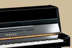b-series-250x167