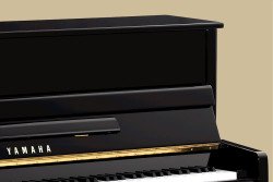 p-series-250x167